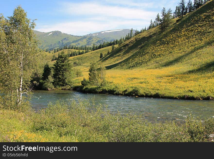 Mountain river in East Kazakhstan