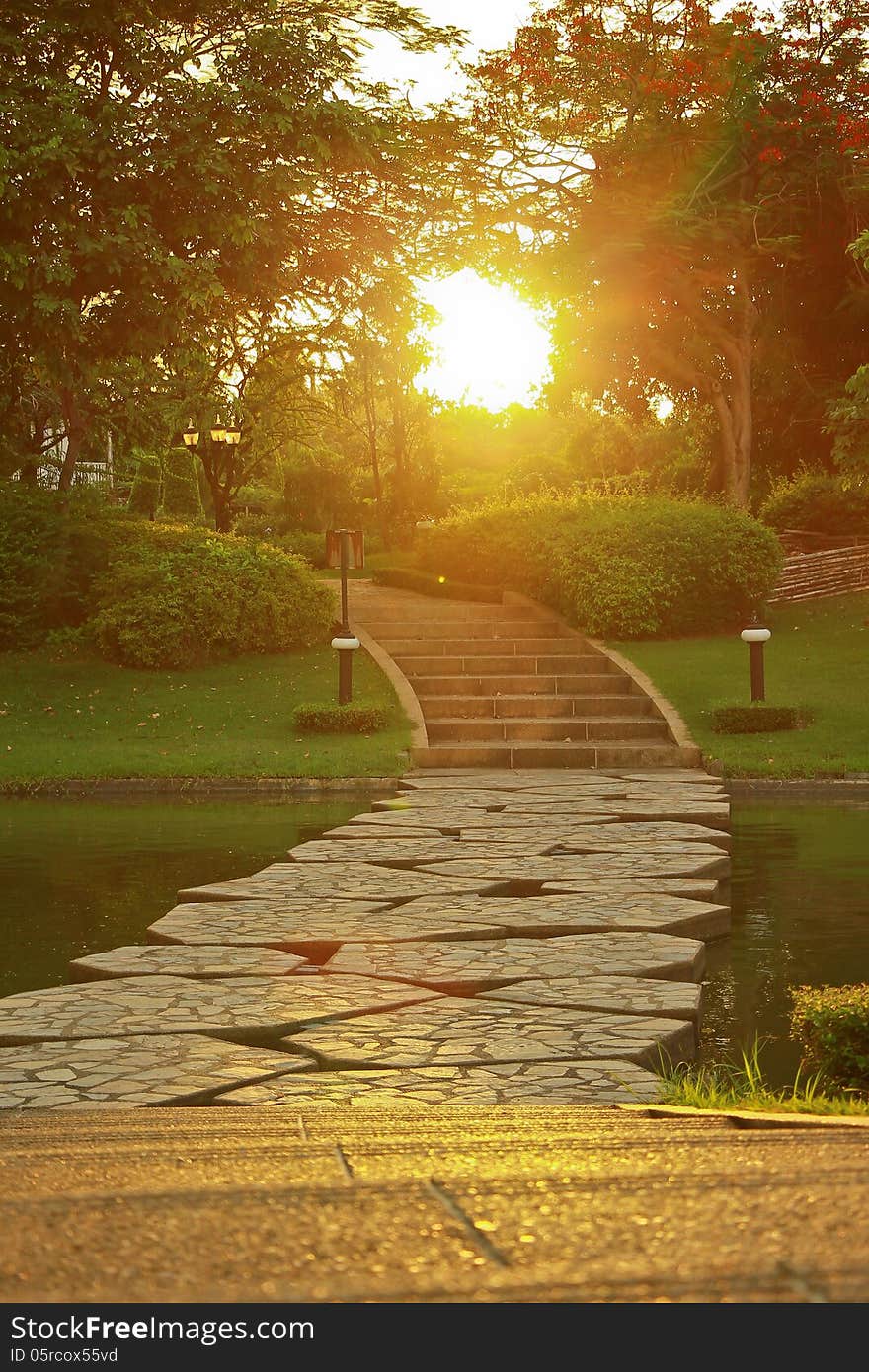 A garden and avenue on sunset. A garden and avenue on sunset