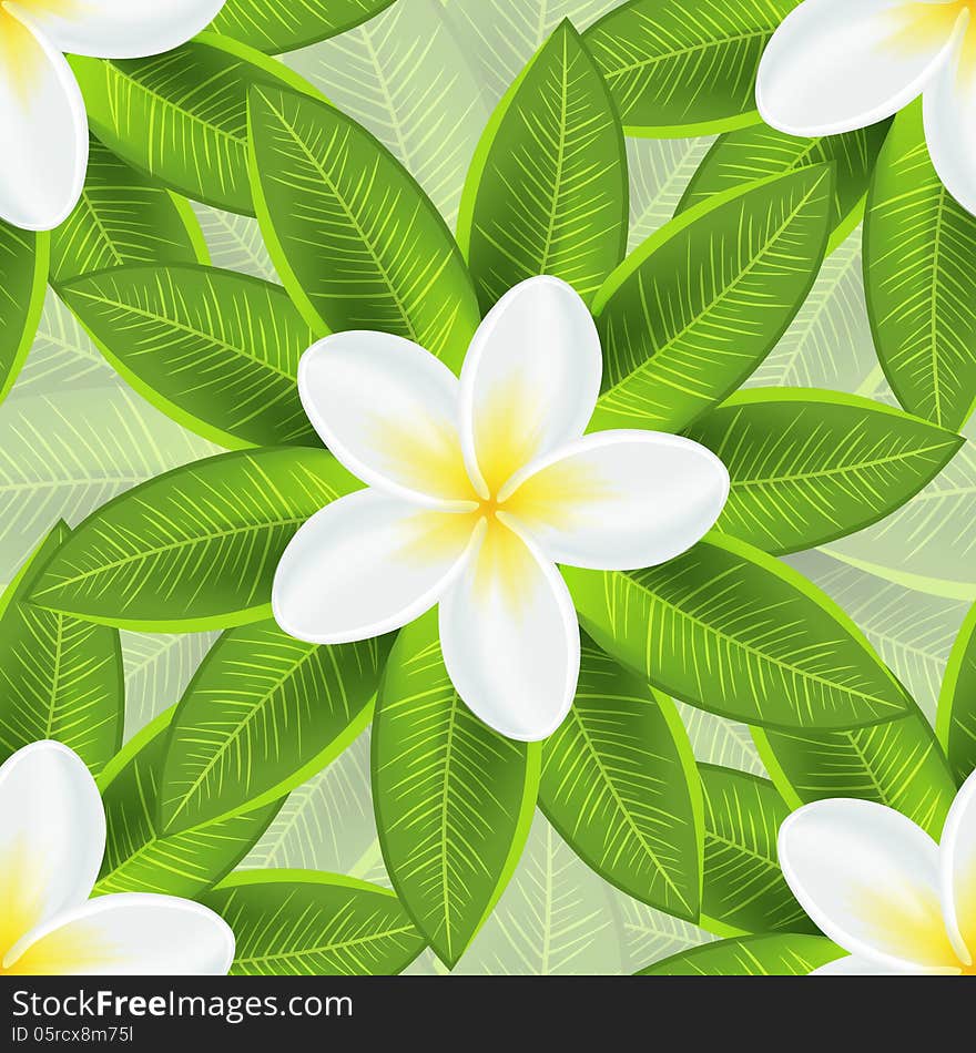 Spring Ecological Background With Beautiful White