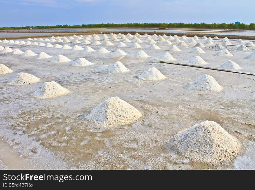 Salt in the Saline in rural Thailand