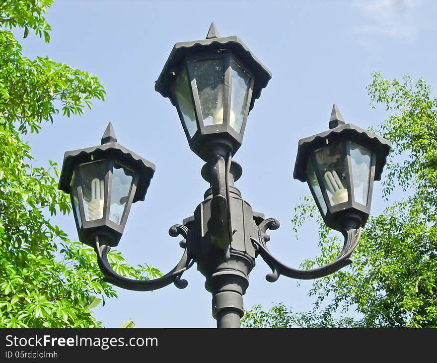 Light poles on street in park