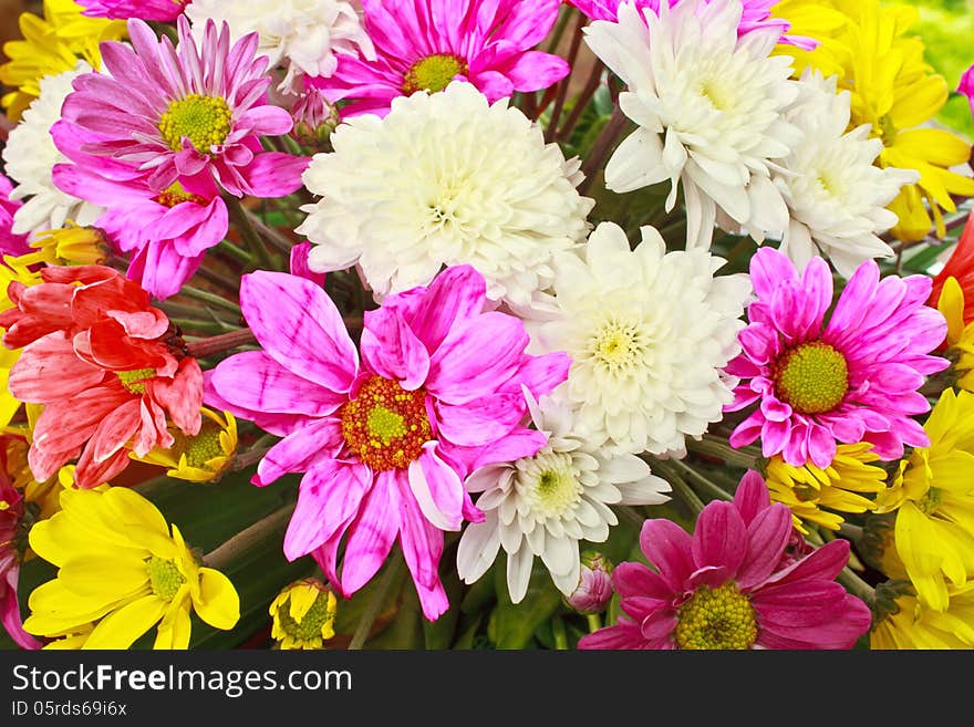 Beautiful bouquet of bright flowers