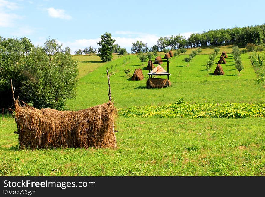 Agriculture-haystack on harvested field. Agriculture-haystack on harvested field