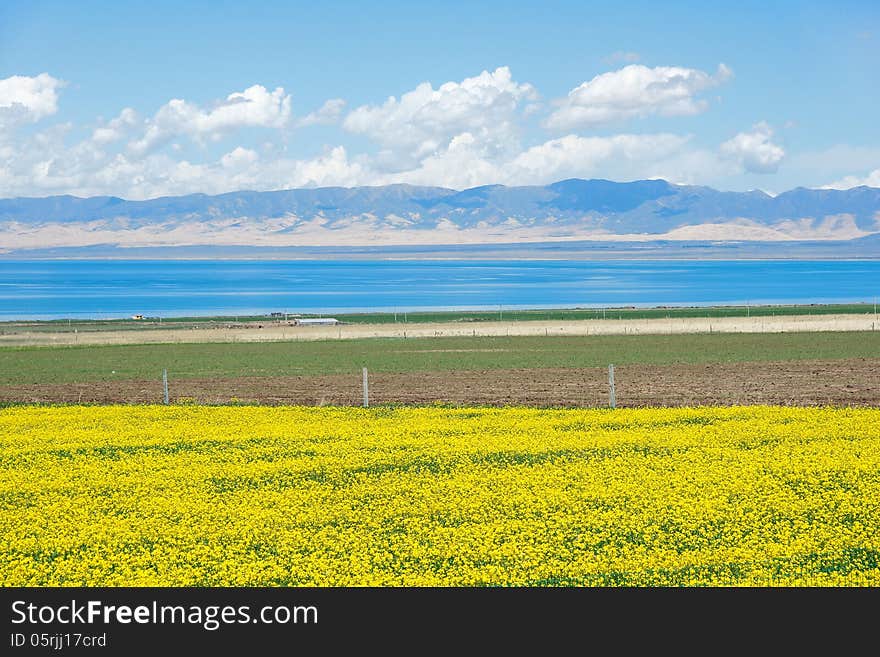 Qinghai Lake scenery