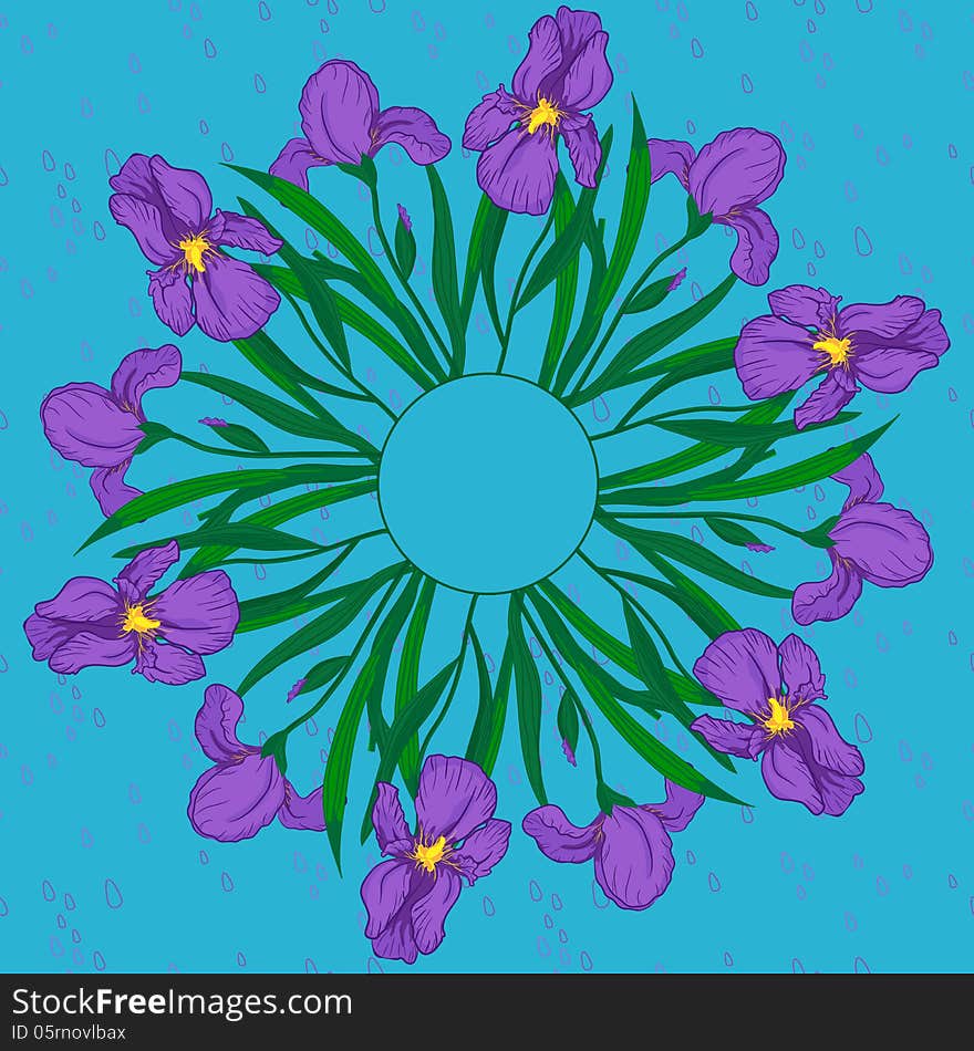 Vector floral mandala with iris. Vector floral mandala with iris