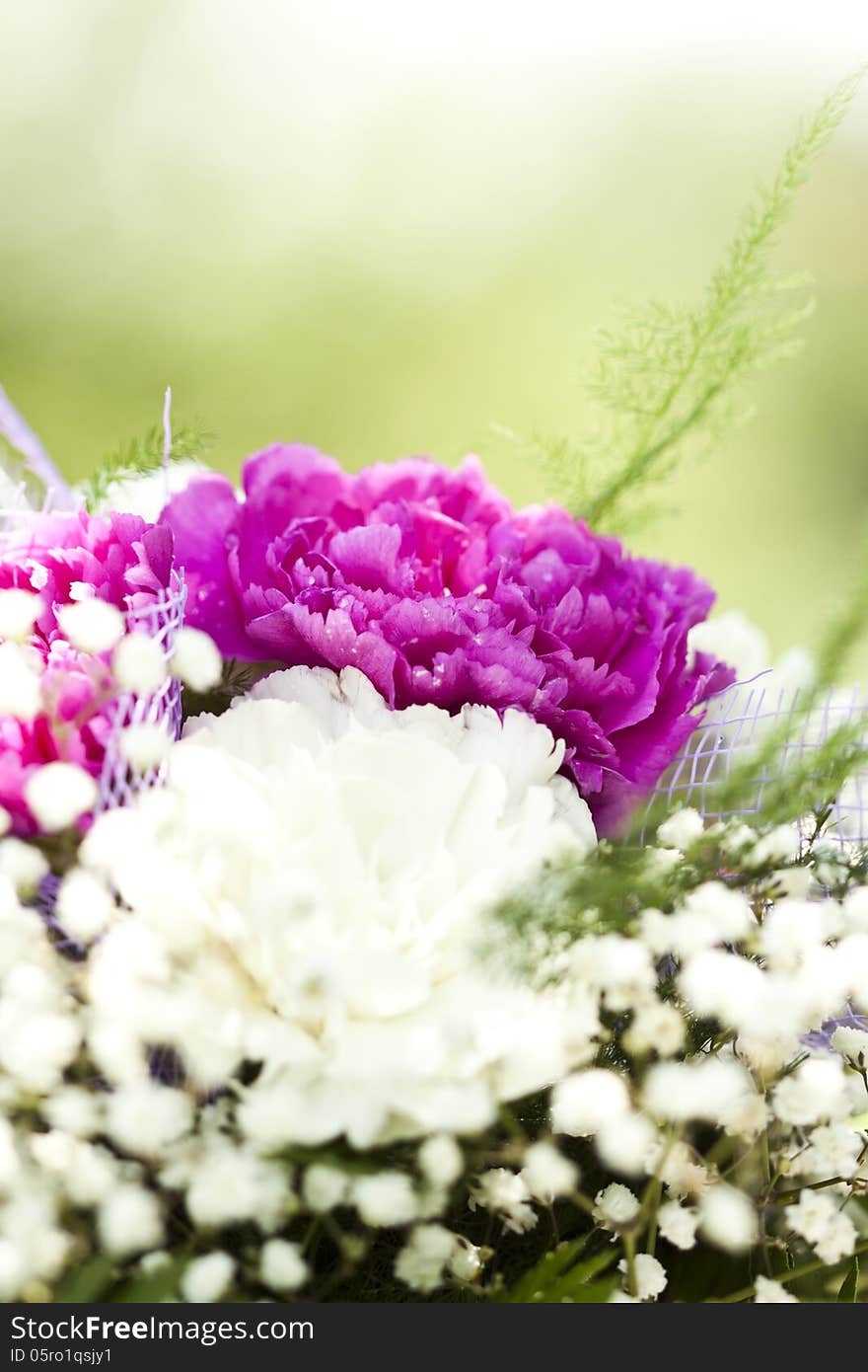 Close up on colorful wedding bouquet made of red and purple flowers