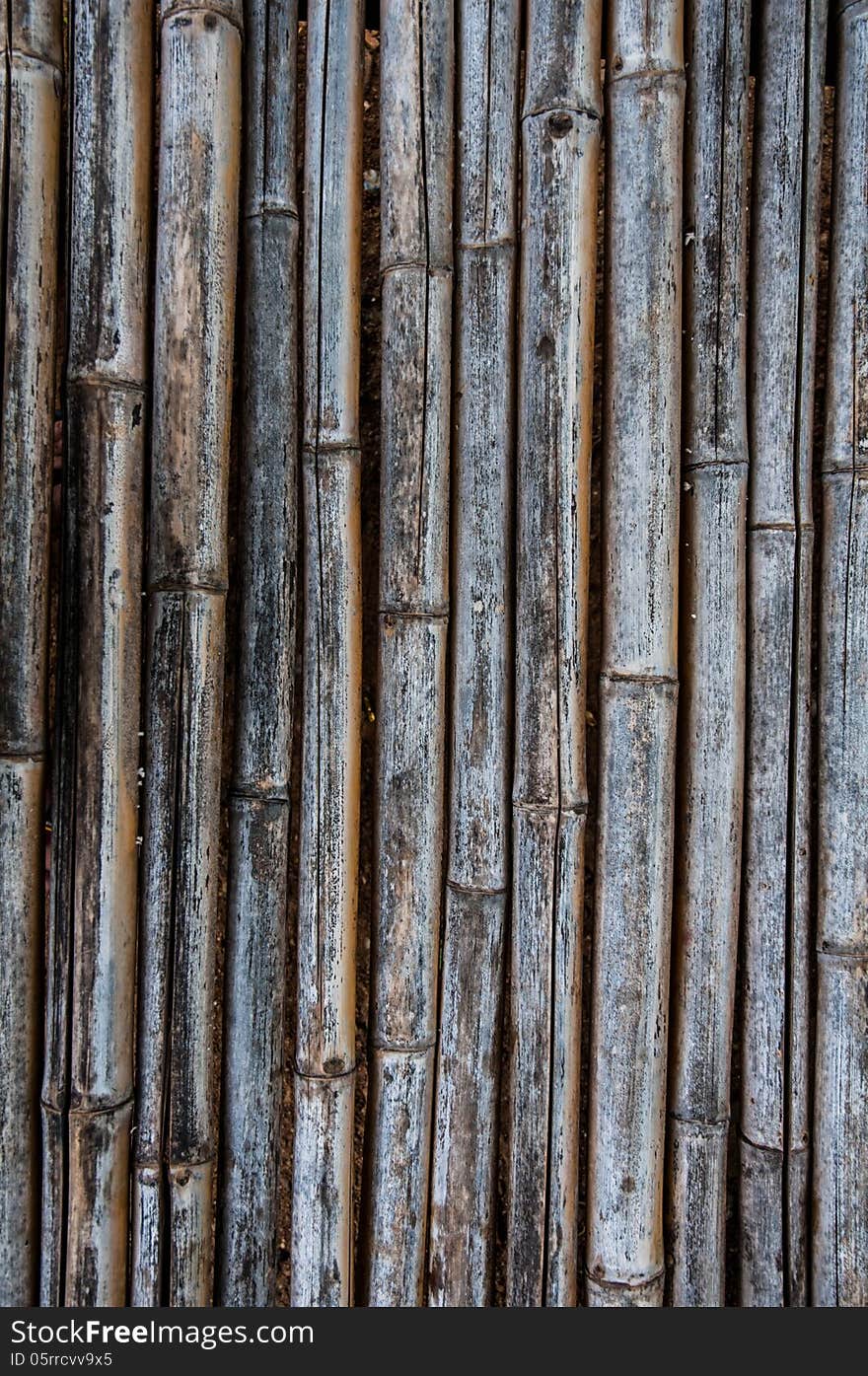 Old bamboo fence in my home