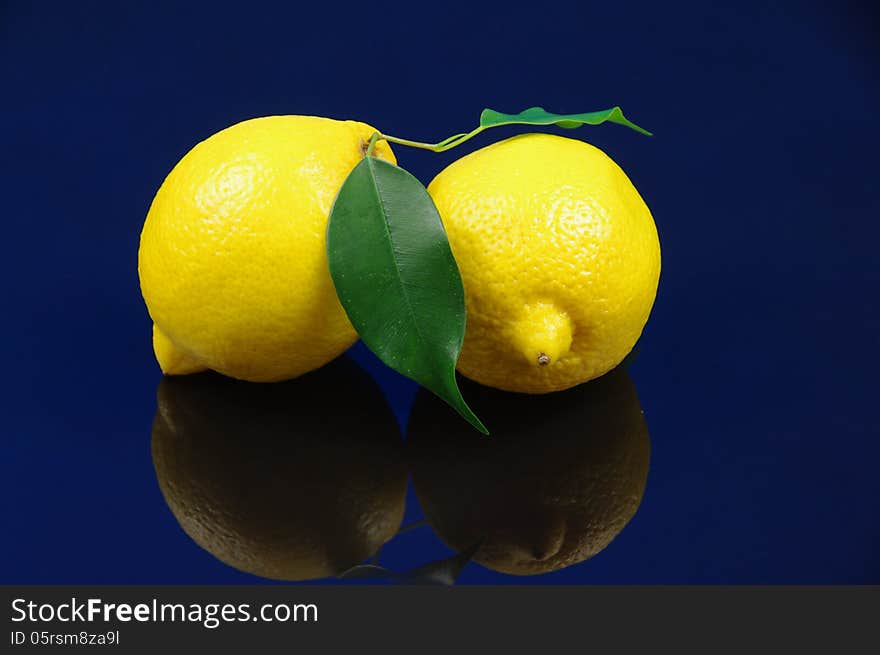 Photo shows the fruits of lemon placed on a blue background. Photo shows the fruits of lemon placed on a blue background.