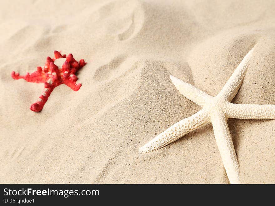 Red And White Starfishes On A Sand Background.