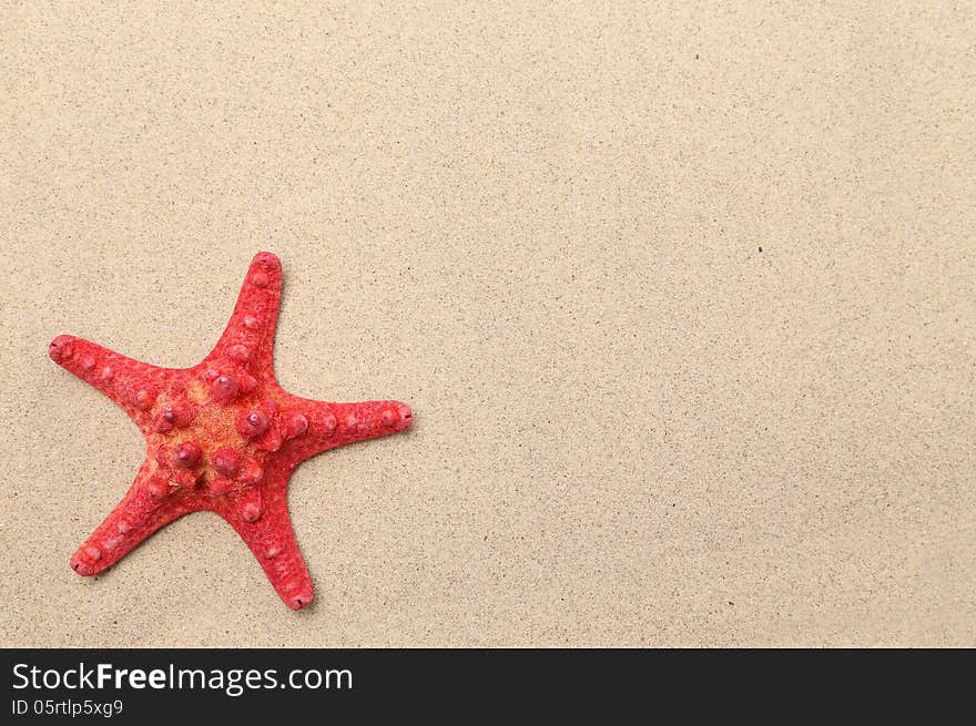 Red starfish on a sand background. Frame.