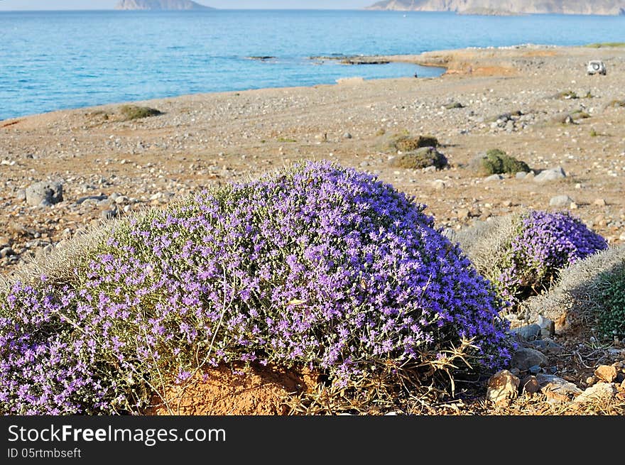 Seaside of Creta island