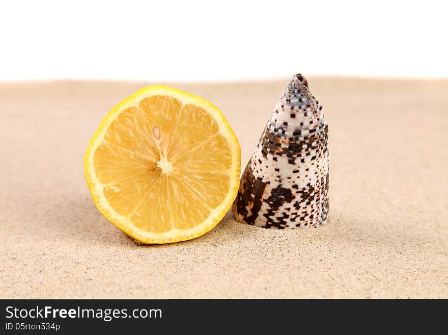 Lime and shell on sand. White background.