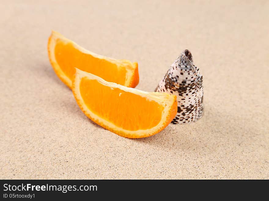 Orange And Shell On Sand.