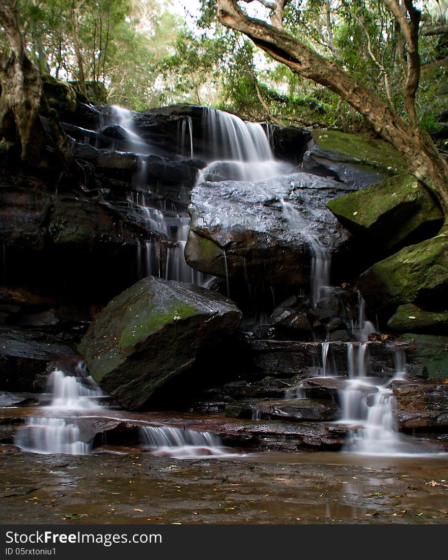 Bristbane water national park summersbay fall. Bristbane water national park summersbay fall