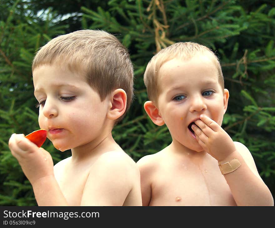 Two babies eat peach in village house garden. Two babies eat peach in village house garden