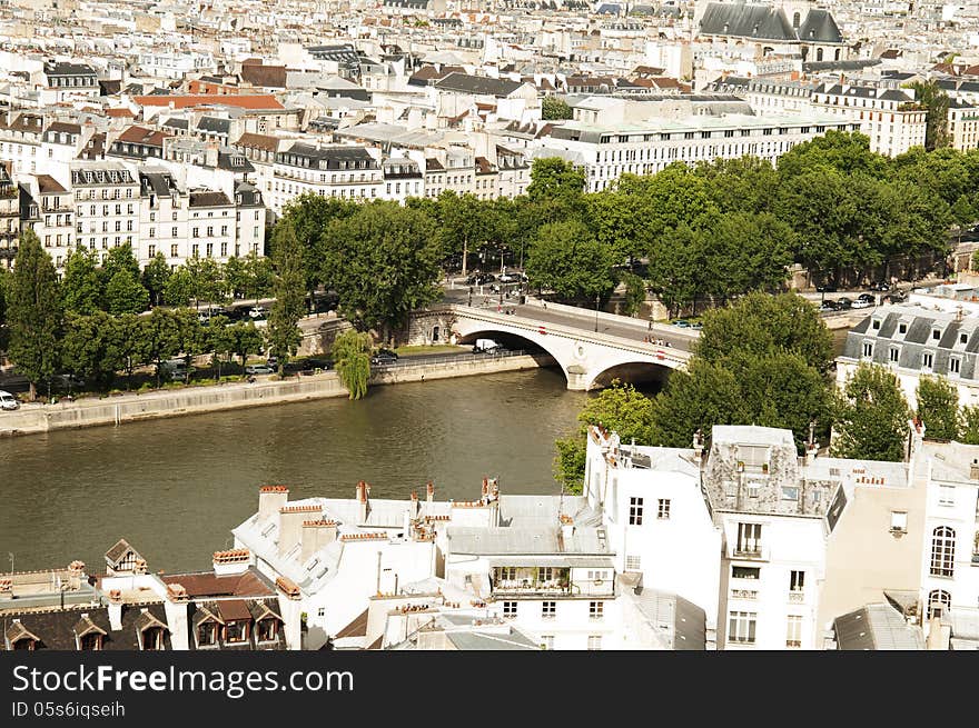 View from Notre- Drame Cathedral, Paris