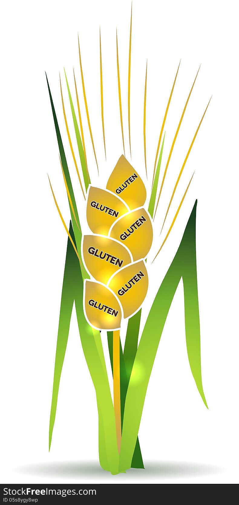Wheat illustration with gluten marks on each grain. Wheat illustration with gluten marks on each grain