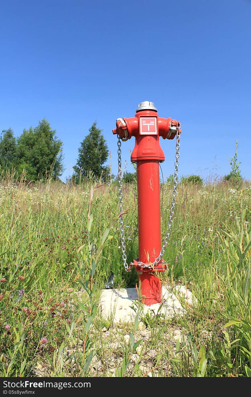 Fire hydrant in overgrown grass