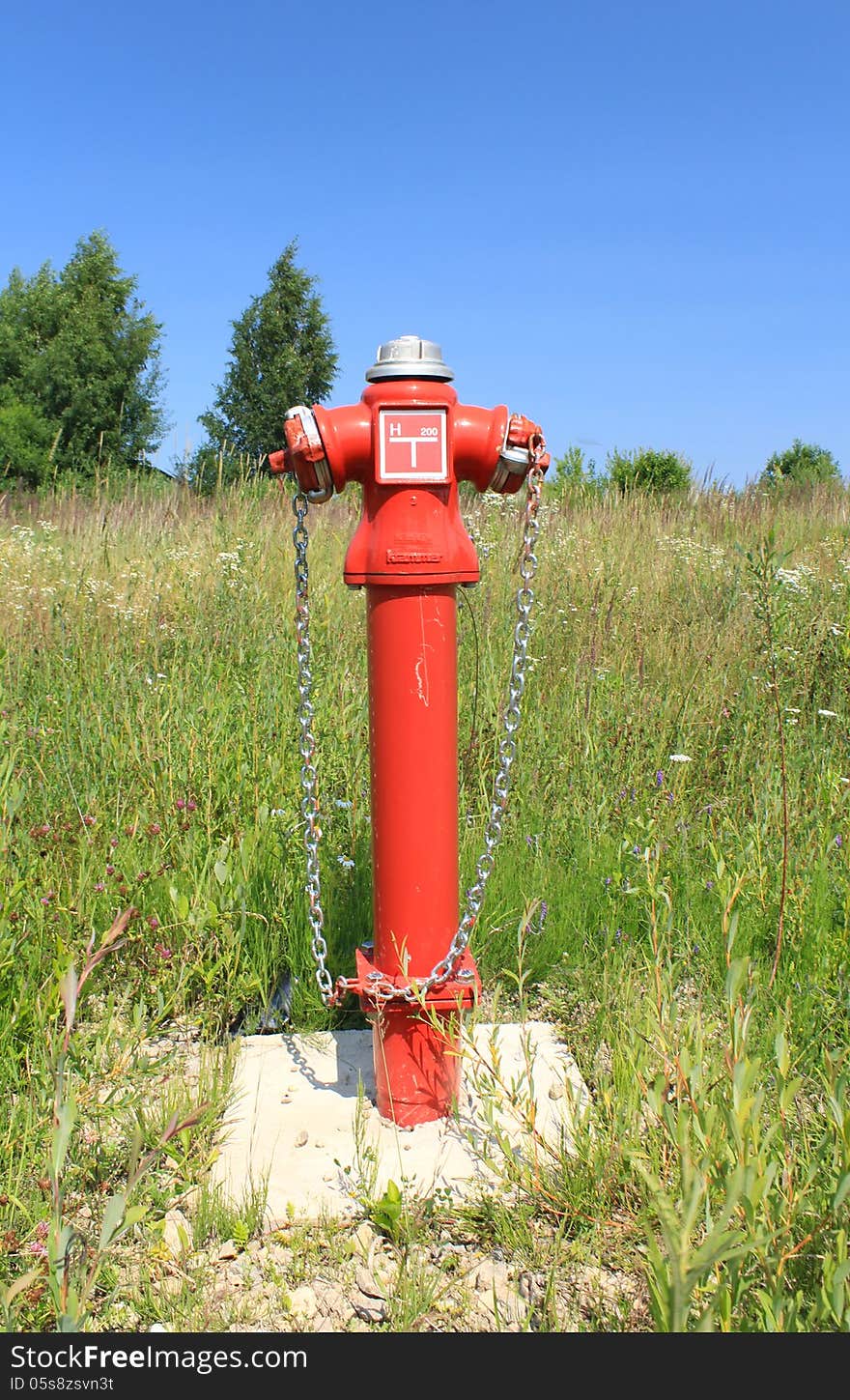 Fire hydrant in overgrown grass