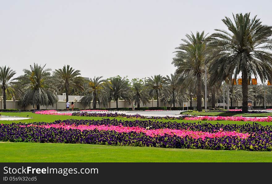 Public space in flowers - Dubai