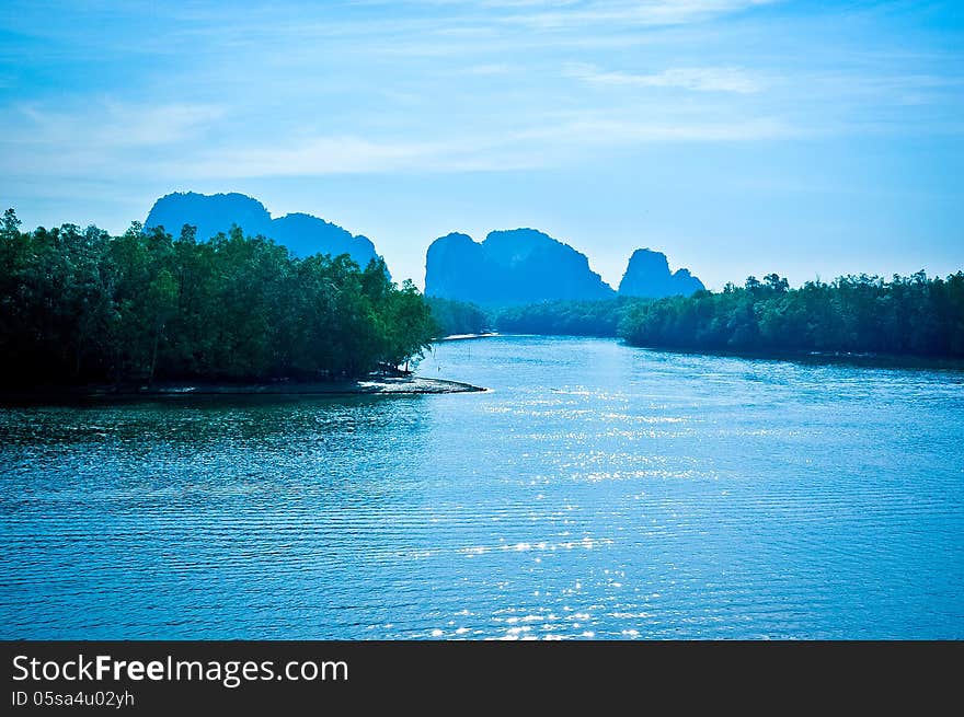 Morning at mangrove estuaries in south of thailand