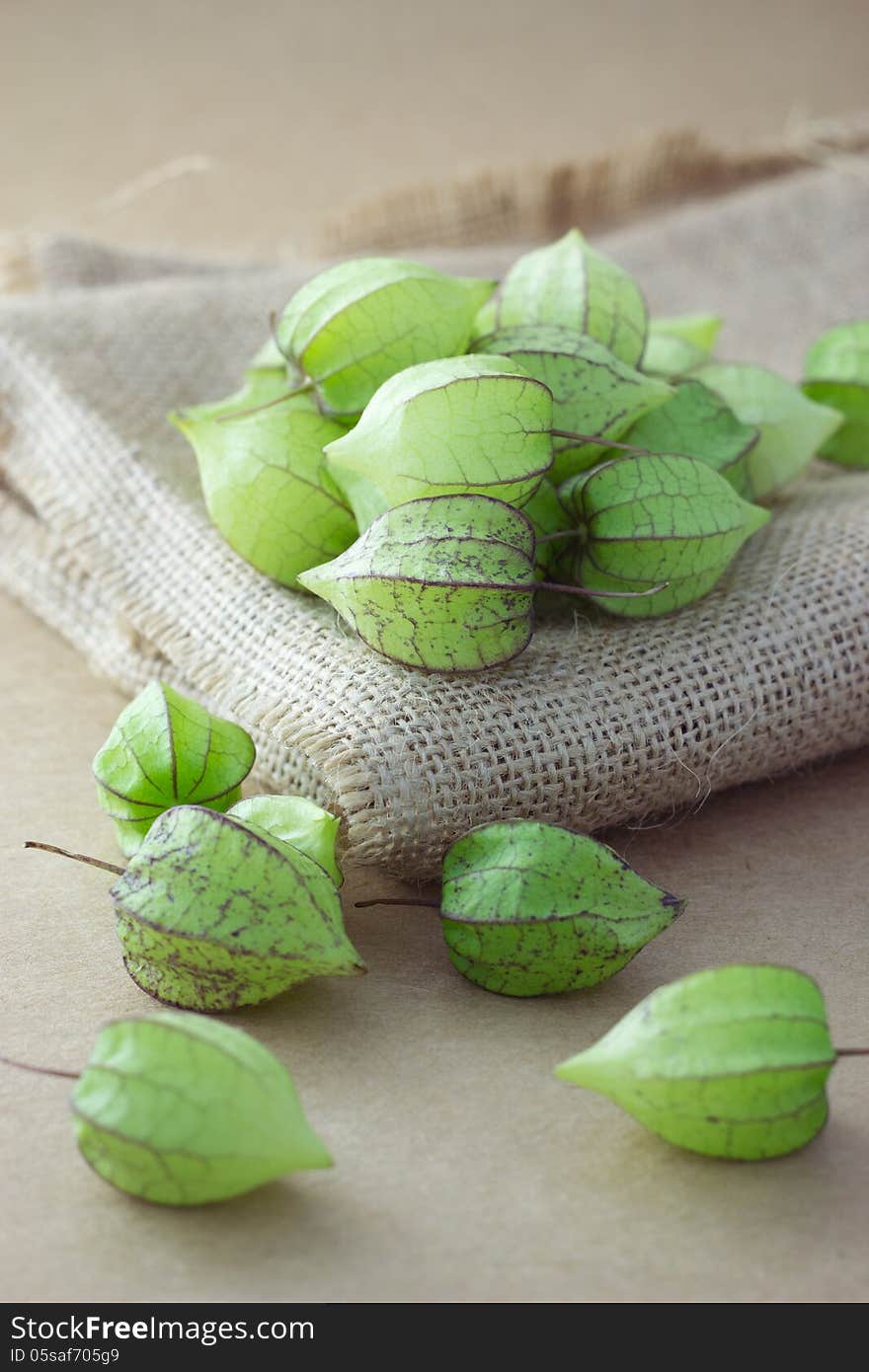 Ground cherry on sackcloth, Thai Fruit