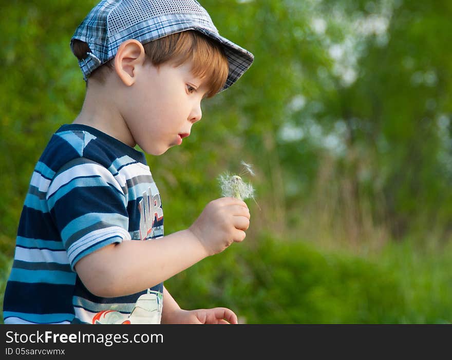 The little boy in a cap blows on a dandelion.