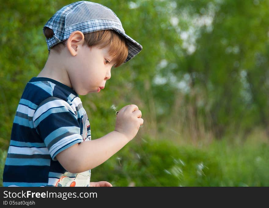 The little boy in a cap blows on a dandelion.