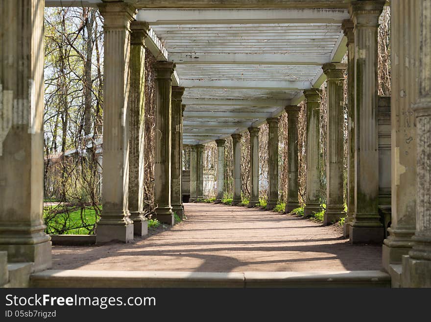 Antique Columns Corridor