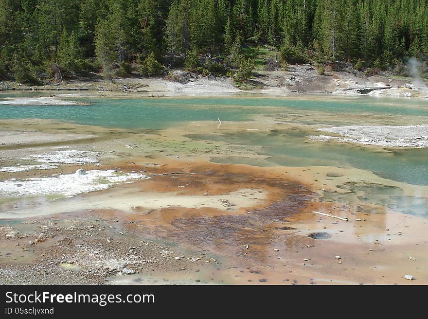 Crackling Spring, Norris Basin, Yellowstone