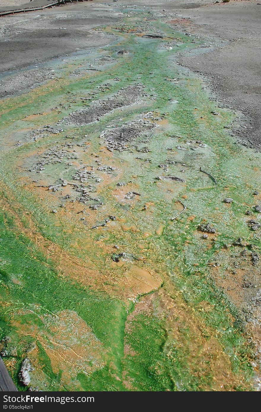 Whirlygig Geyser, Norris Basin, Yellowstone