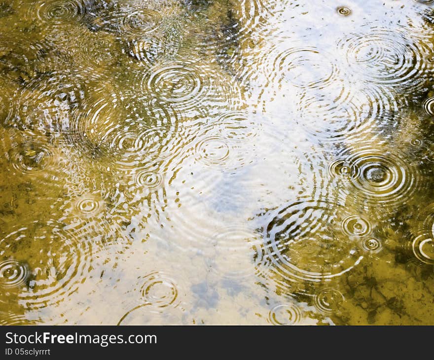 Raindrops circles