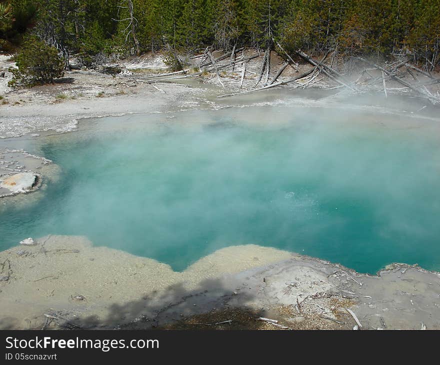 Emerald Spring, Norris Basin, Yellowstone