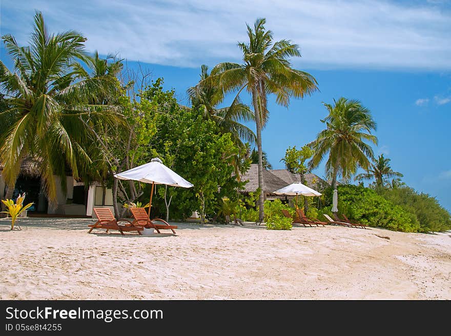 Sunny beach on the Maldives