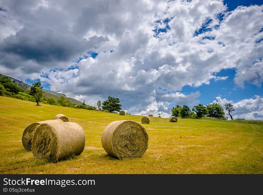 Hay Sheaf in a field