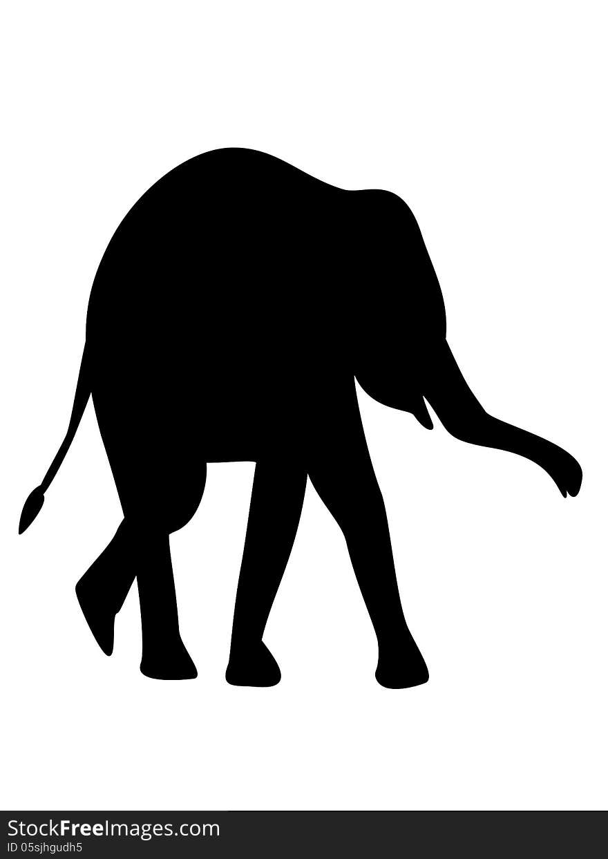 Baby elephant walking silhouette on white. Baby elephant walking silhouette on white
