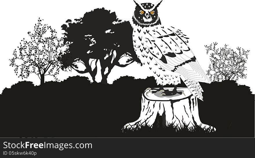 Owl image black white style. Owl image black white style