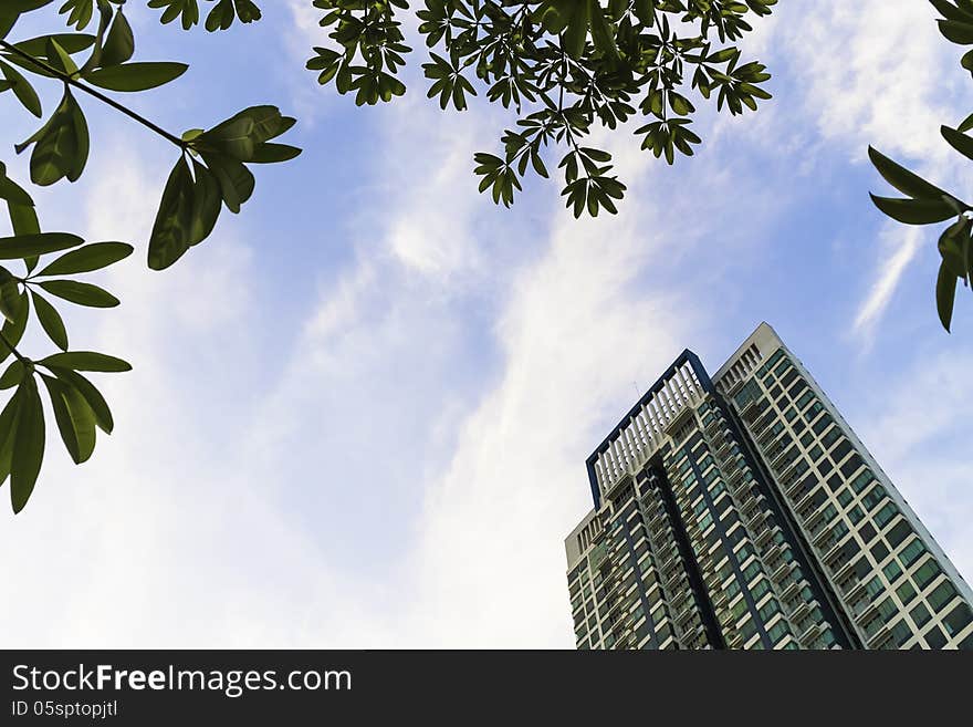 High rise building with green tree leaf in blue sky