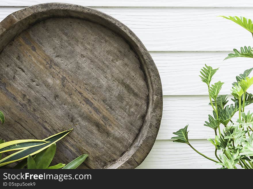 Round rough wood with green plant