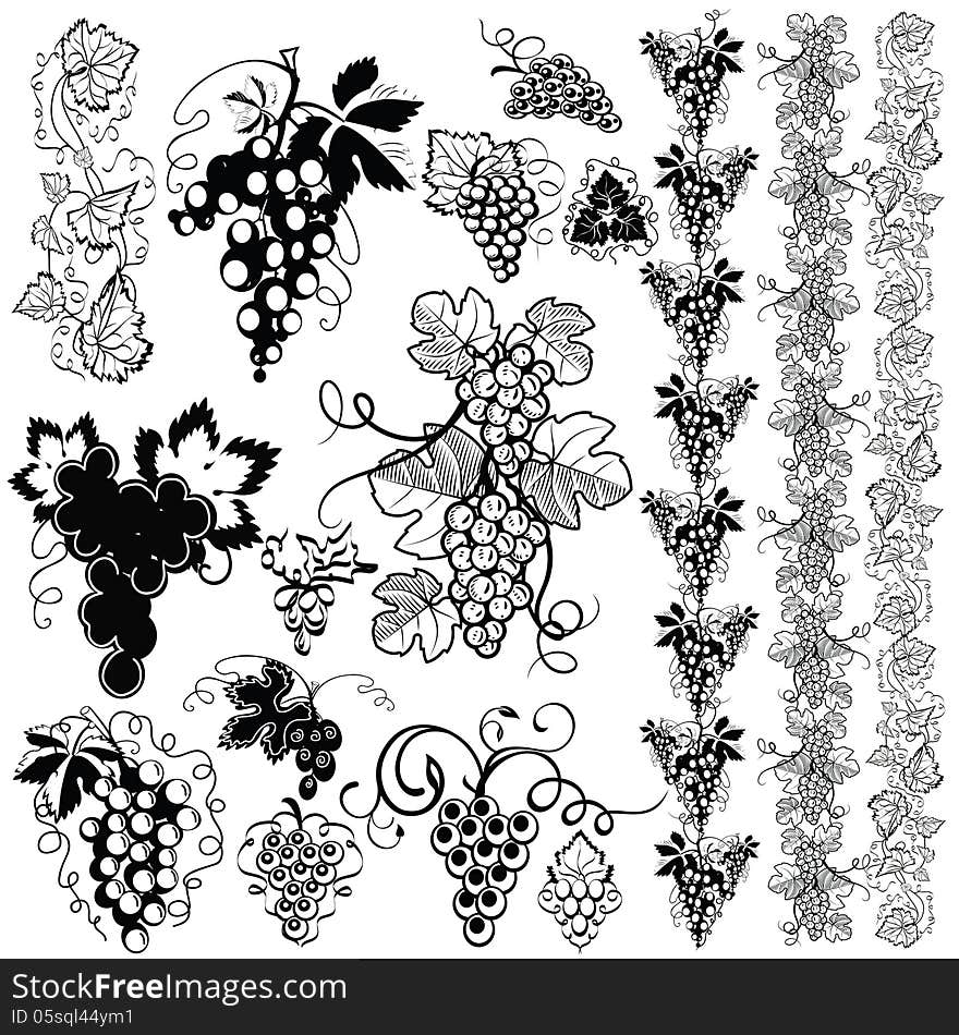 Grape. Pattern. Set1.