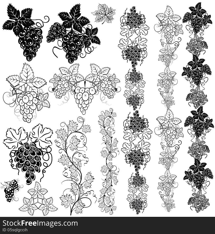 Elements of the pattern of grapes on a white background. Elements of the pattern of grapes on a white background.