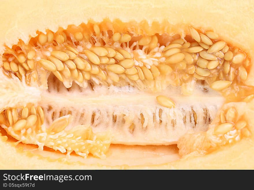 Close up of a melon on the inside