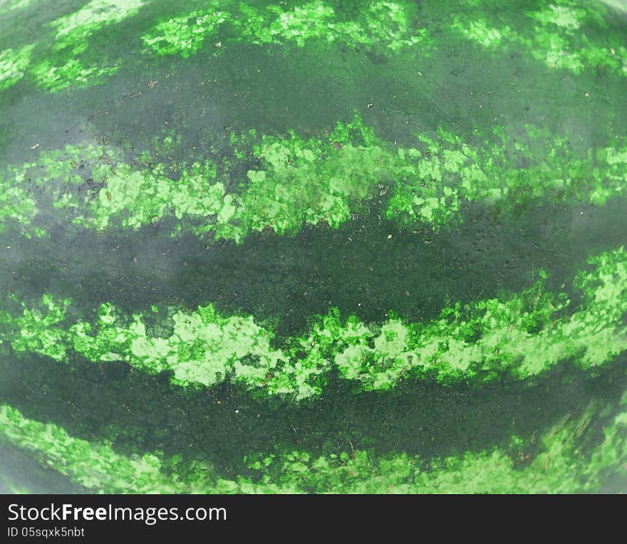 Watermelon texture. Strips disposed horizontally. Whole background.