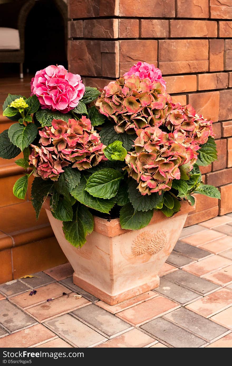 Beautiful flowers compositions on the porch of the wooden country house