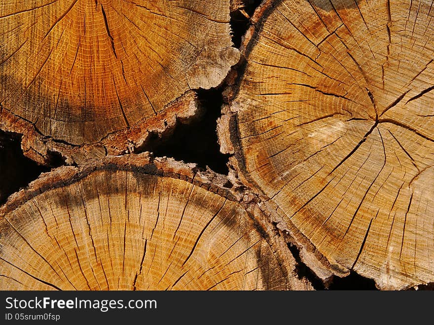 Close up of three wood logs