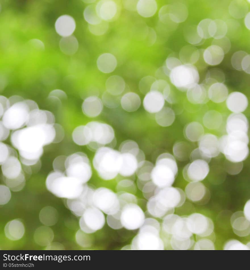 Nature green bokeh abstract background