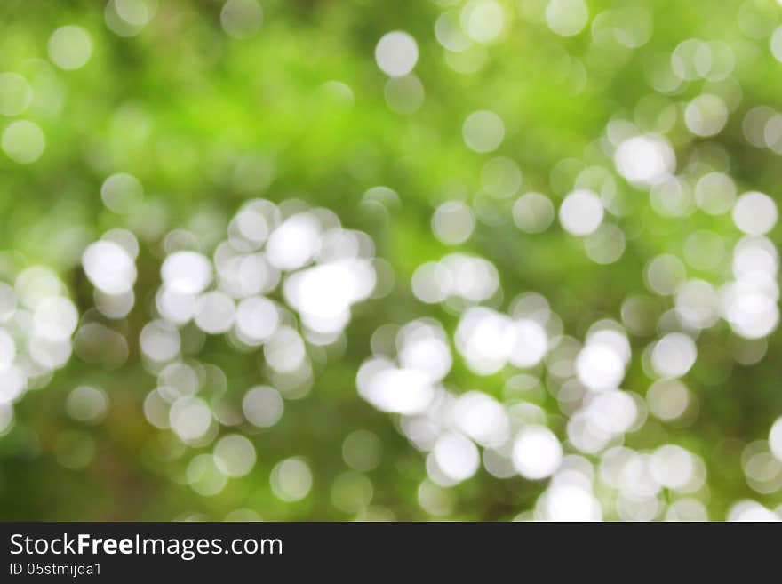 Nature green bokeh abstract background