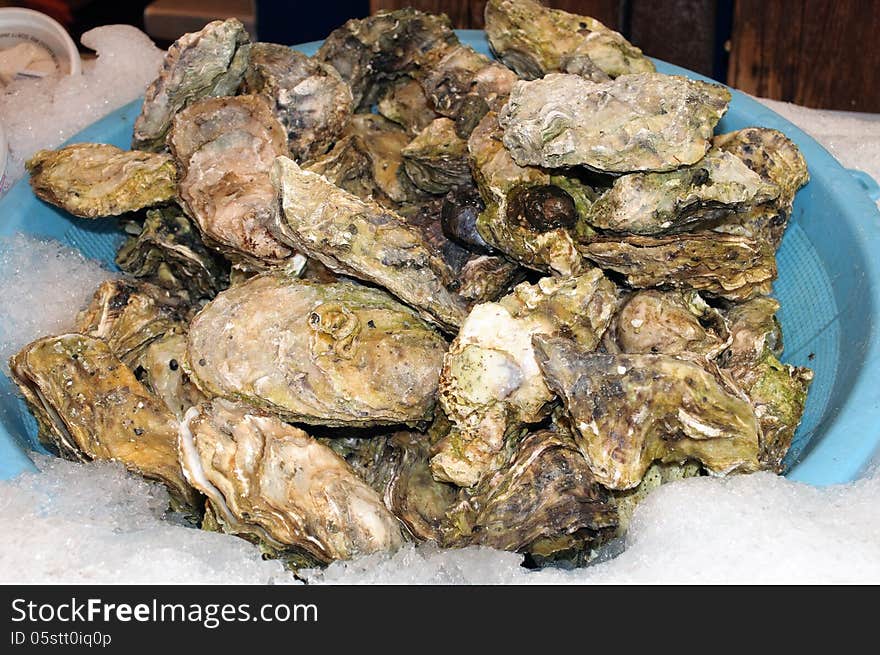 Bin of oysters and ice. Bin of oysters and ice