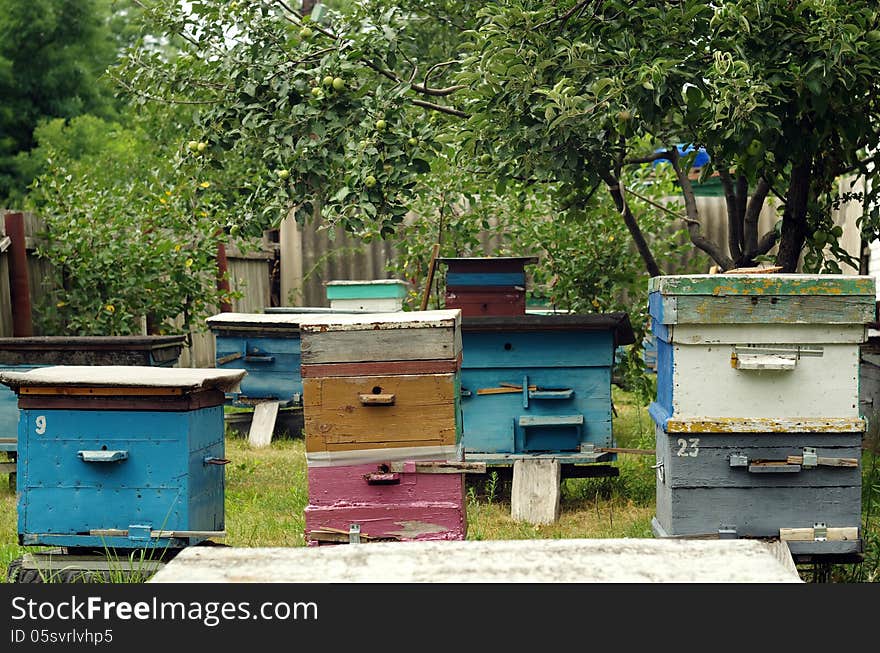 Beehives