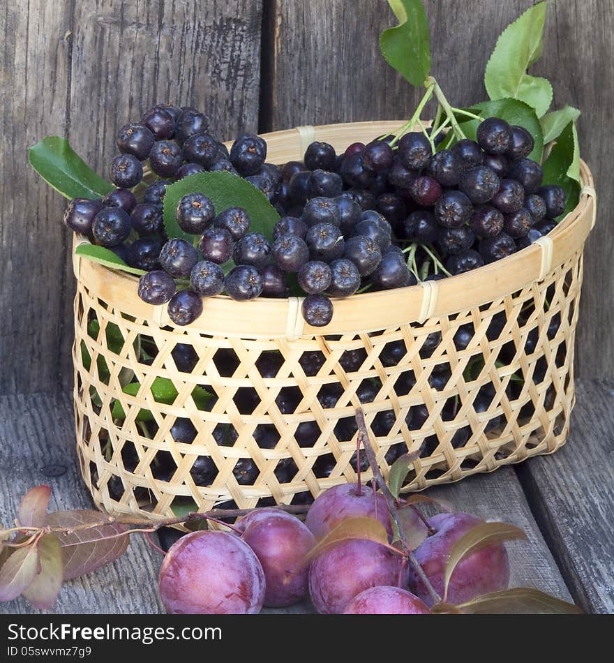 Black chokeberries and plums